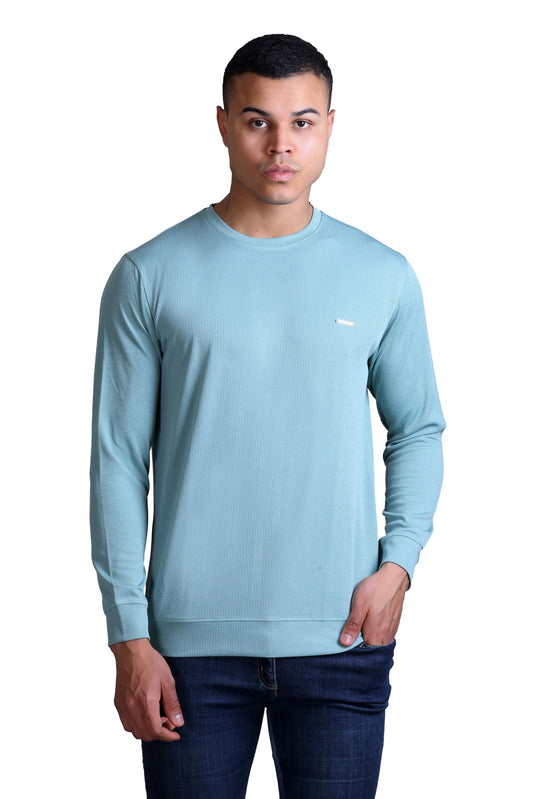 Men's Sky Blue Solid Round Neck Sweatshirt