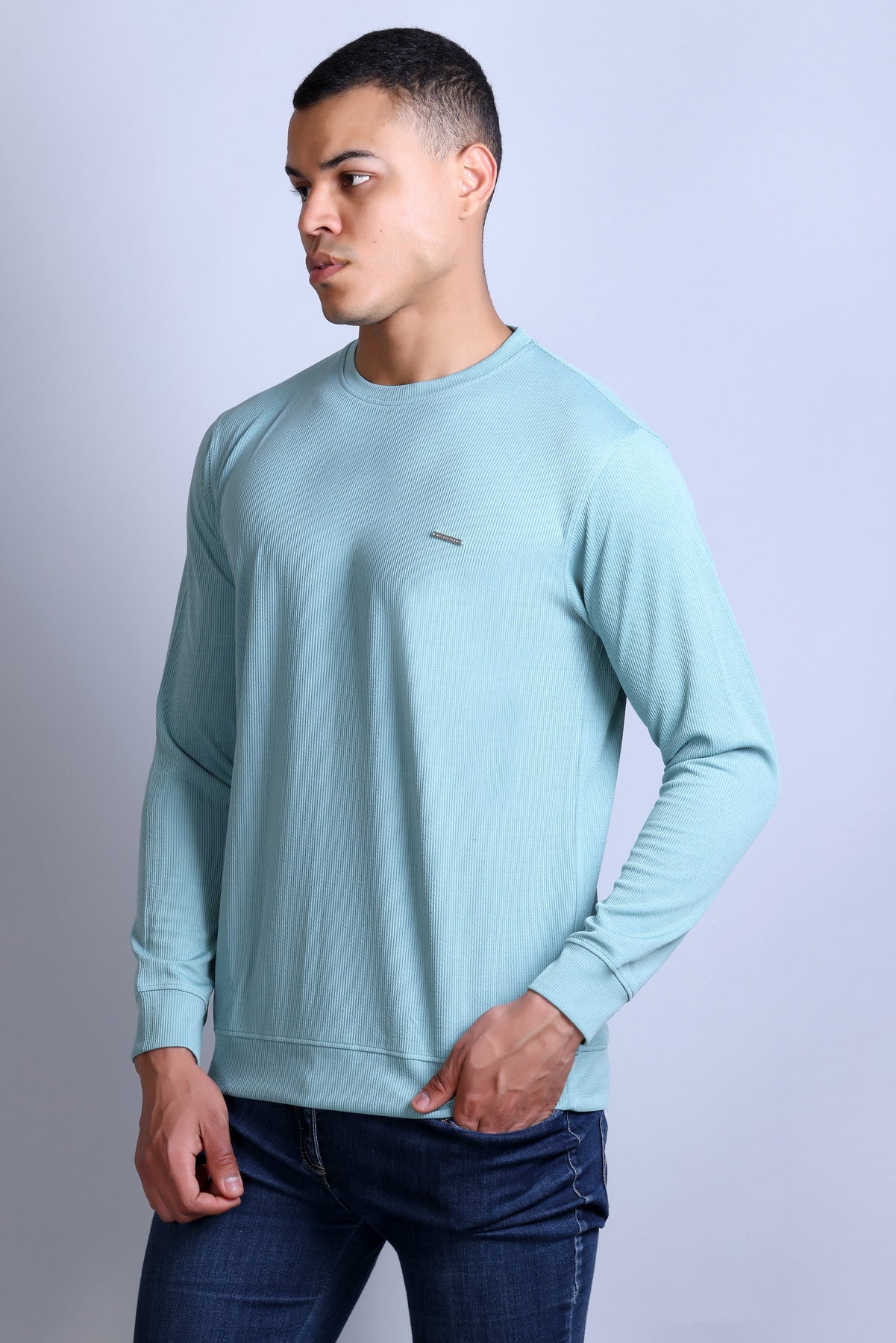 Men's Sky Blue Solid Round Neck Sweatshirt