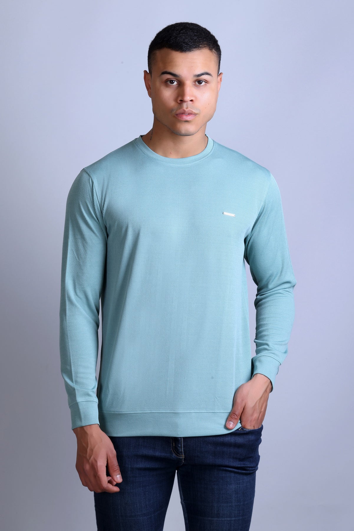 Men's Sky Blue Solid Round Neck Sweatshirt