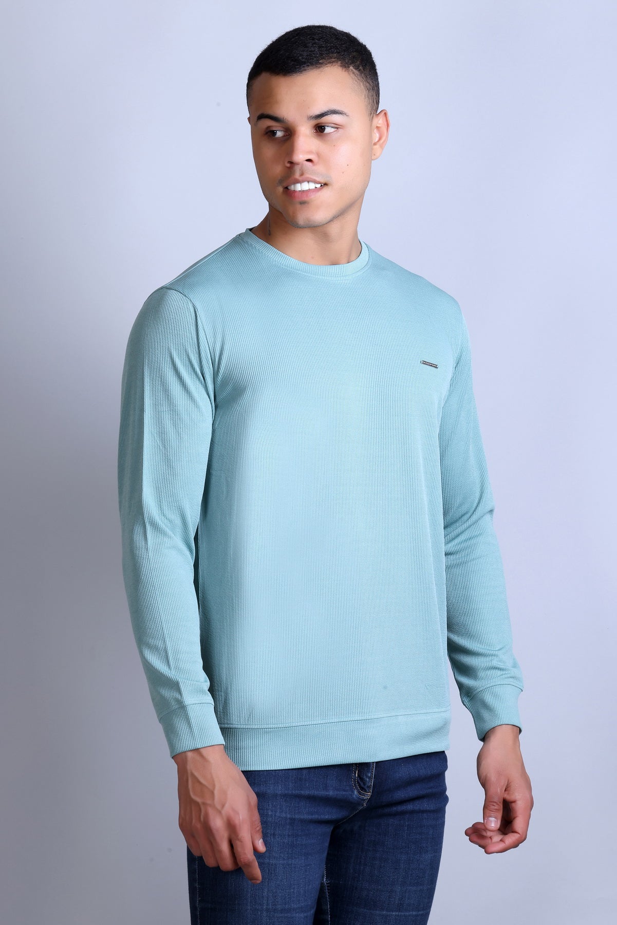 Men's Sky Blue Solid Round Neck Sweatshirt
