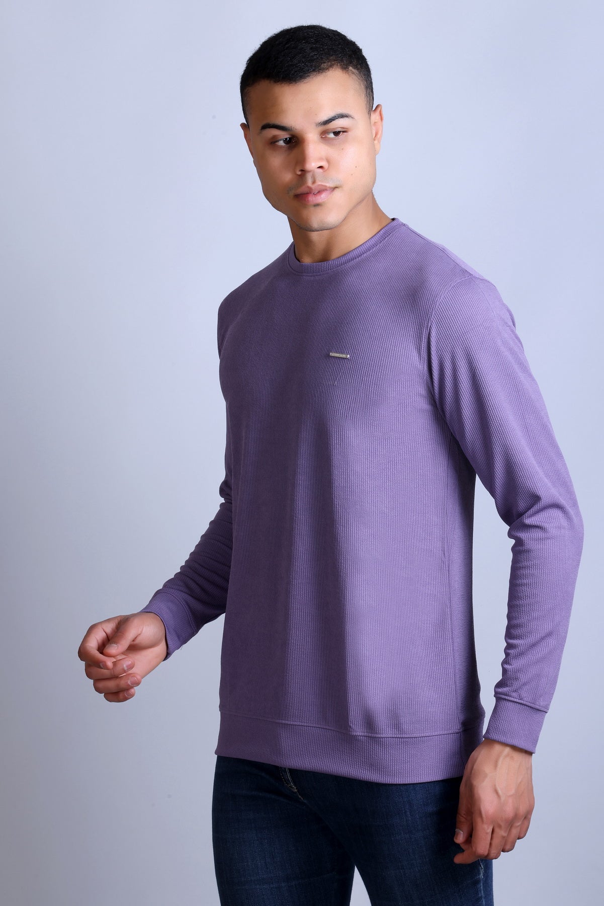 Men's Purple Solid Round Neck Sweatshirt