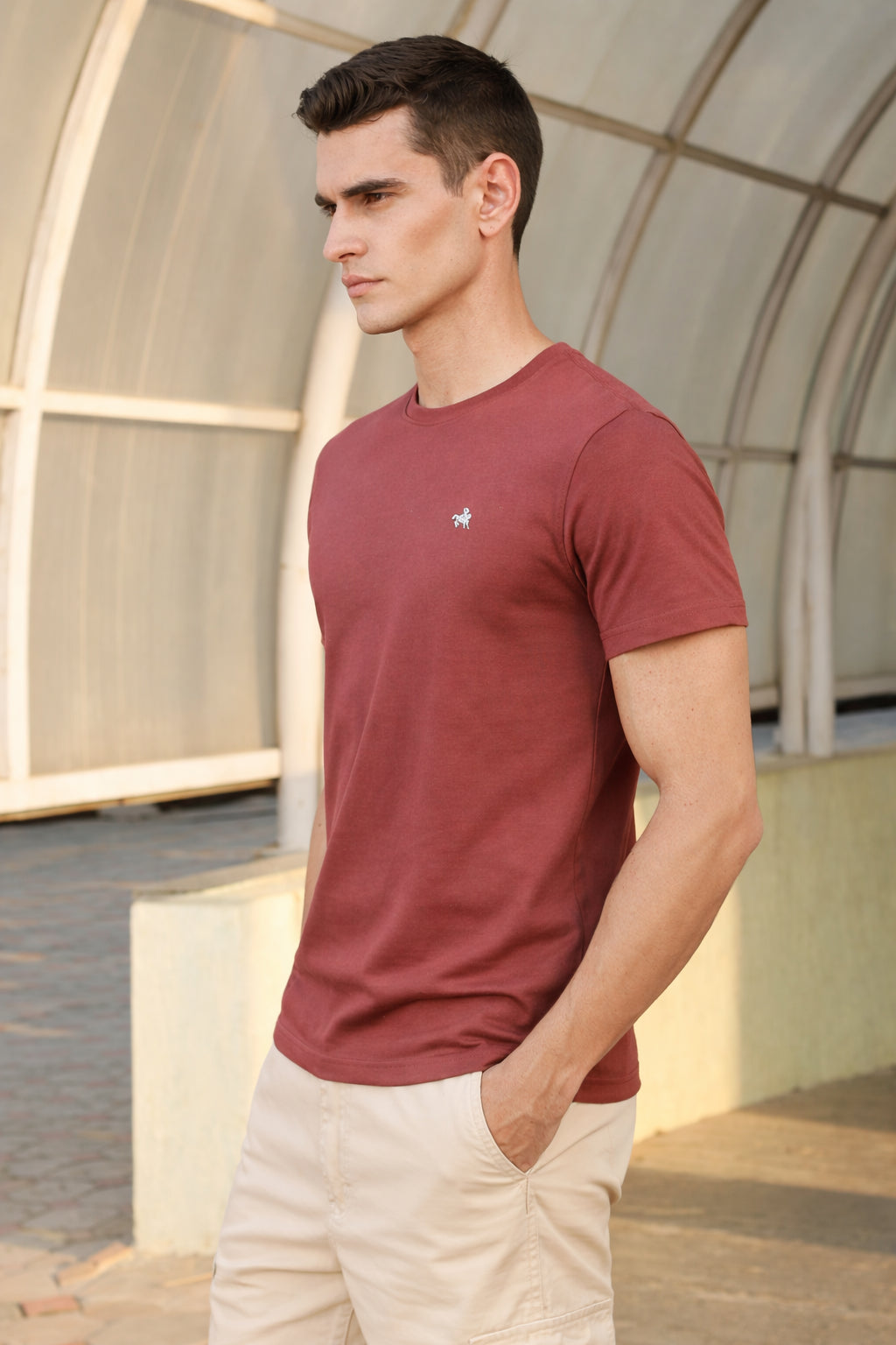 Men's Cotton Rich Round Neck Tshirt | Pull Over Tshirts | Half Sleeves
